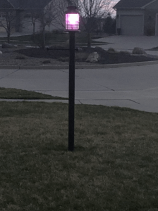 photo of a purple lamppost